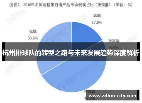 杭州排球队的转型之路与未来发展趋势深度解析
