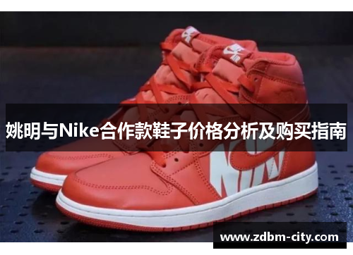 姚明与Nike合作款鞋子价格分析及购买指南
