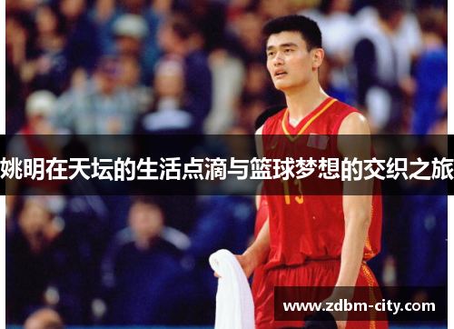 姚明在天坛的生活点滴与篮球梦想的交织之旅