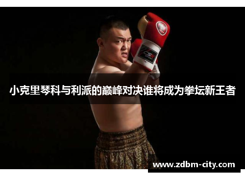 小克里琴科与利派的巅峰对决谁将成为拳坛新王者